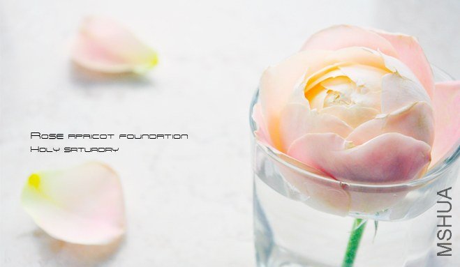 ROSE Apricot foundation2.jpg