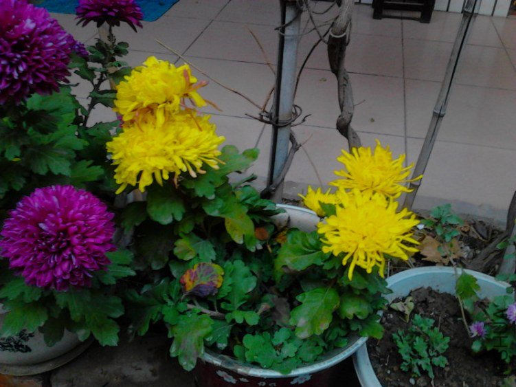 20121122Q0164.jpg