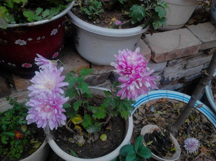 20121122Q0165.jpg