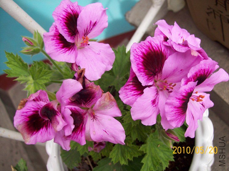 100_1698_����.jpg