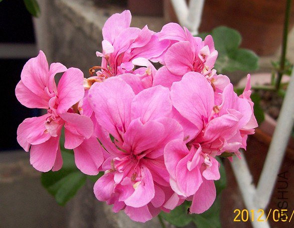 100_2548_����.jpg