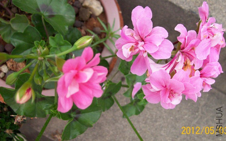 100_2565_����.jpg