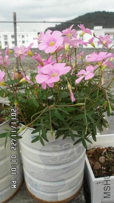 ������С ��ת SAM_0499.JPG