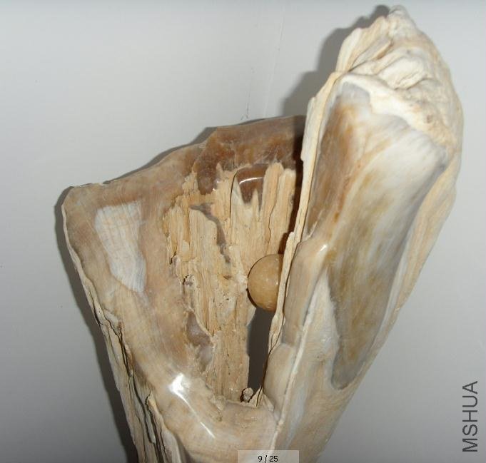SNAG-036.jpg