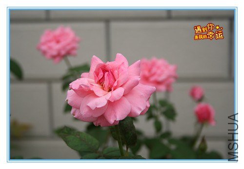 ��Ƭ 058_����.jpg