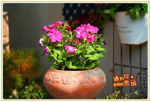 ��Ƭ 029_����.jpg