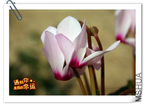 ��Ƭ 018_����.jpg