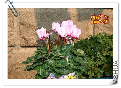 ��Ƭ 014_����.jpg