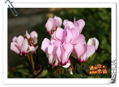 ��Ƭ 016_����.jpg