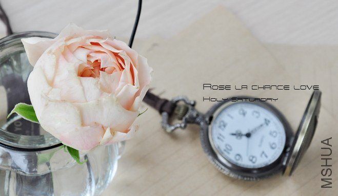 ROSE La Chance  Love2.jpg