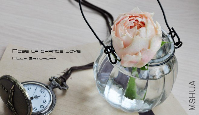 ROSE La Chance  Love3.jpg