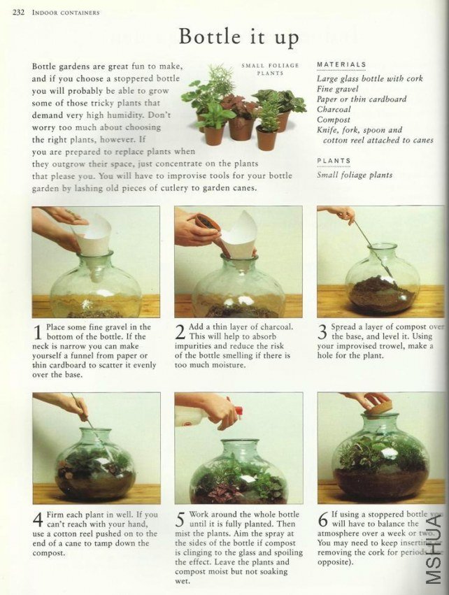 BottlePlants.jpg