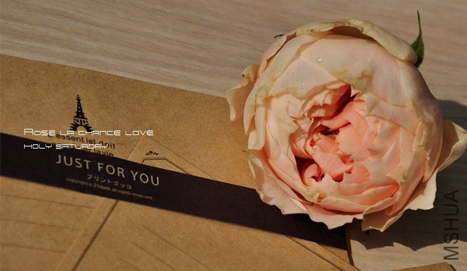 ROSE La Chance Love2.jpg