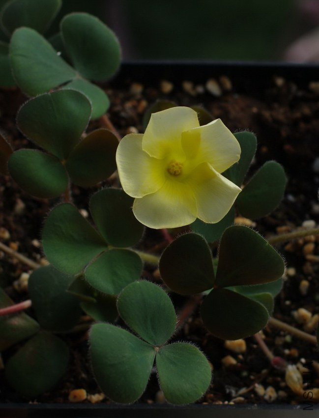 ZQ108496.jpg