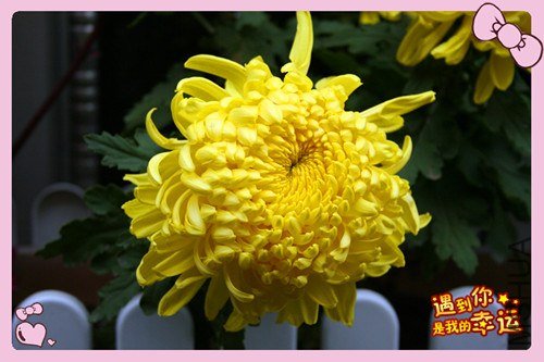 ��Ƭ 092_����.jpg