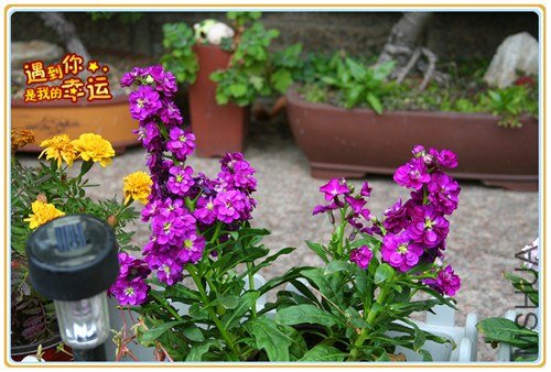 ��Ƭ 103_����.jpg