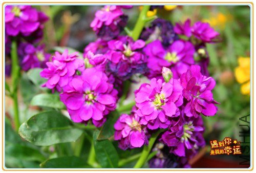 ��Ƭ 104_����.jpg