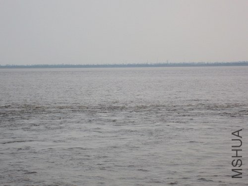 IMG_6537.jpg