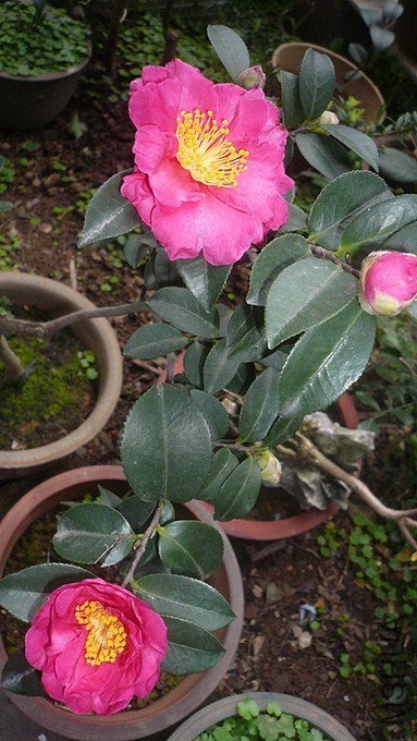 P1170588_����_��С��С.jpg