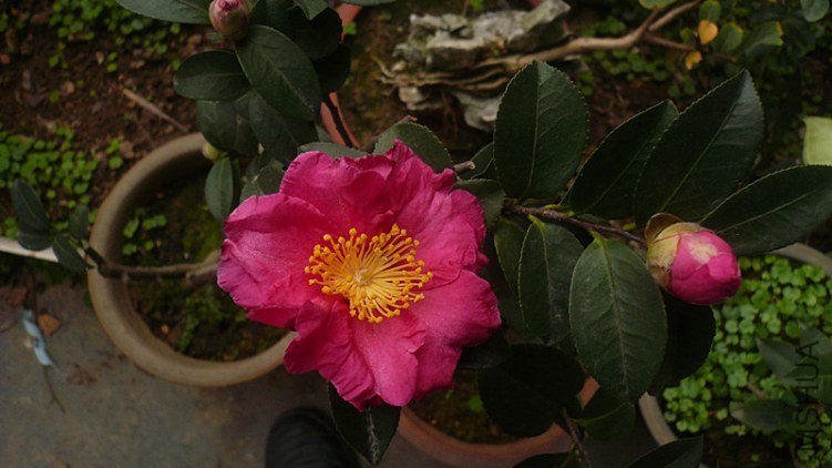 P1170589_����.jpg