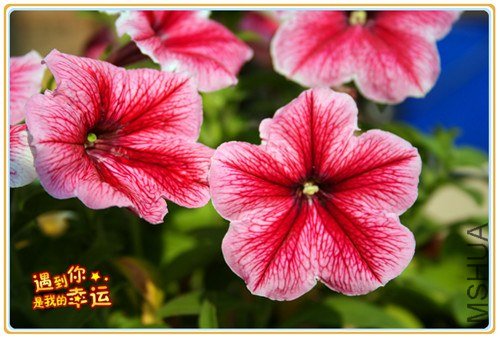 ��Ƭ 025_����.jpg