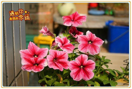 ��Ƭ 023_����.jpg