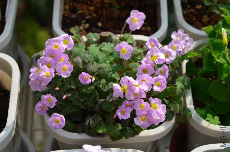����20121020 001.JPG