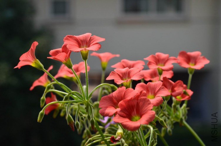 ������С С�ٱ�201201006 003.JPG