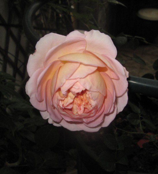 A`P6R@GK48DPAL}P(SQMJS5.jpg