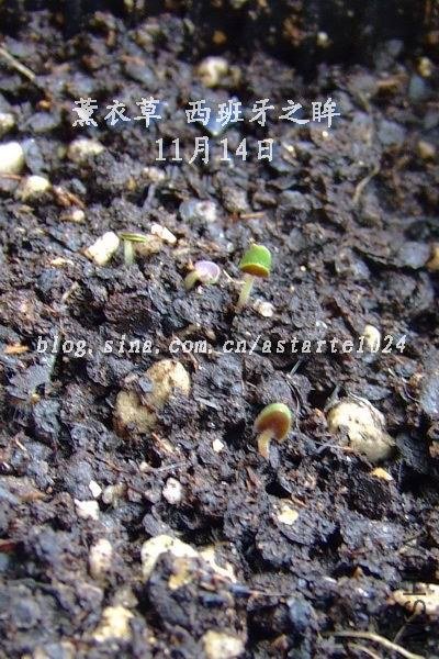 ޹�²� ������֮�� 11��14��.jpg