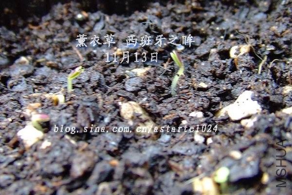 ޹�²� ������֮�� 11��13��.jpg