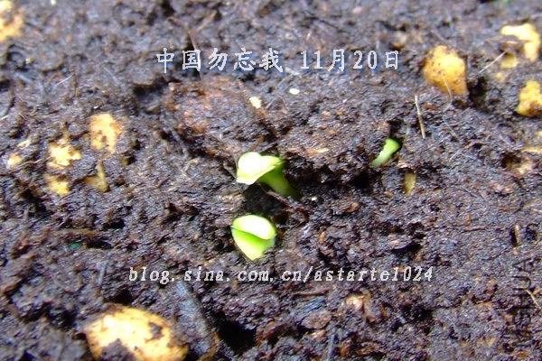 �й������� 11��20��.jpg