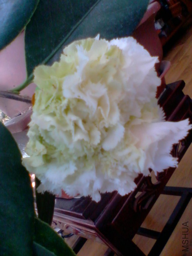 2012-02-18 10.53.52.jpg