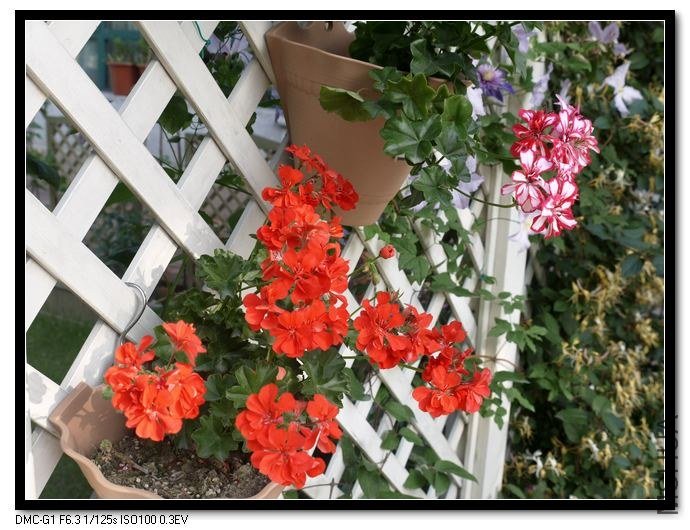 5.17С�컨����.jpg