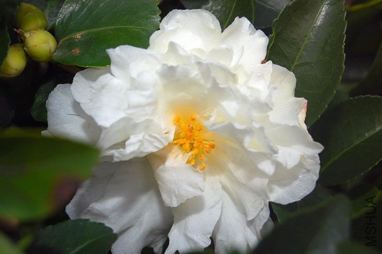 DSC_00300030.JPG