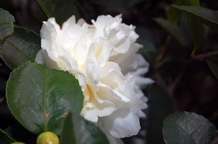 DSC_00270027.JPG