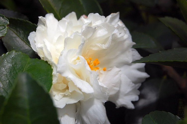 DSC_00240024.JPG