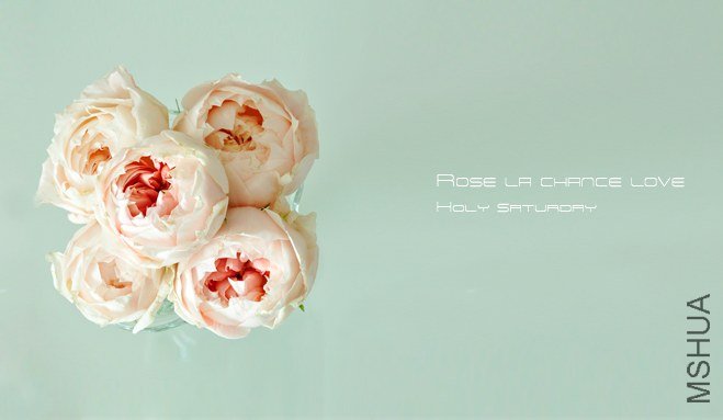 ROSE La Chance Love4.jpg