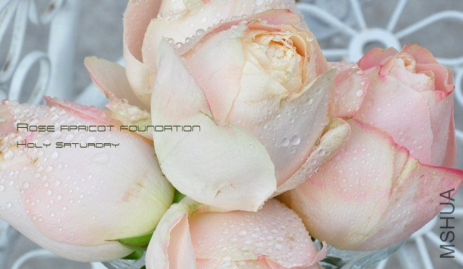 ROSE Apricot foundation1 (2).jpg