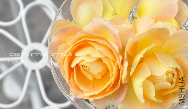 ROSE Romantic candle3.jpg
