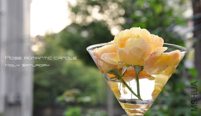 ROSE Romantic candl4.jpg