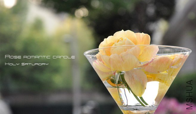 ROSE Romantic candle1.jpg