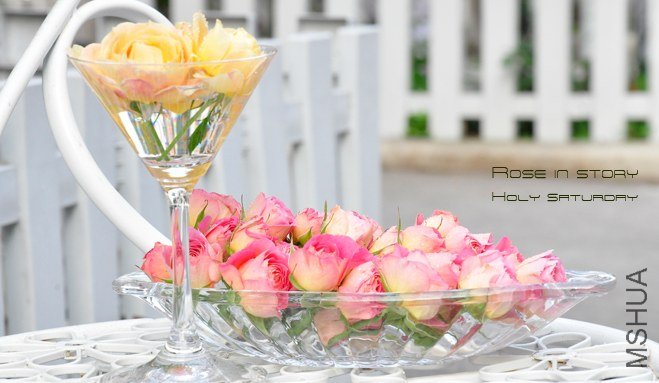 ROSE in story1 (2).jpg