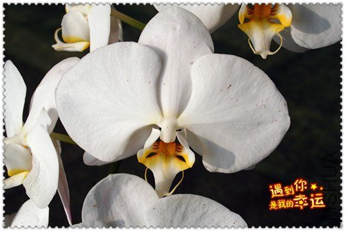 ��Ƭ 058_����.jpg