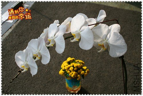 ��Ƭ 052_����.jpg