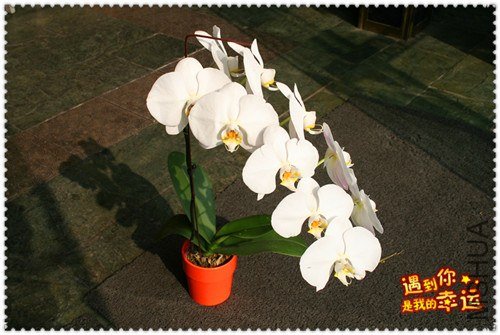 ��Ƭ 057_����.jpg