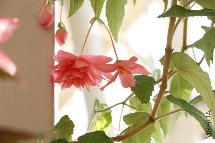 175.JPG