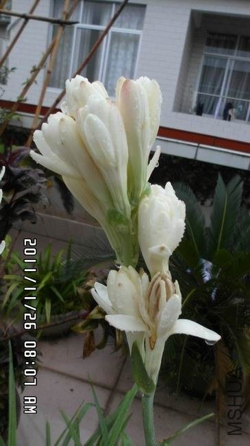 ������С ��ת SAM_0534.JPG