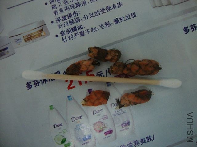 DSC01733.jpg