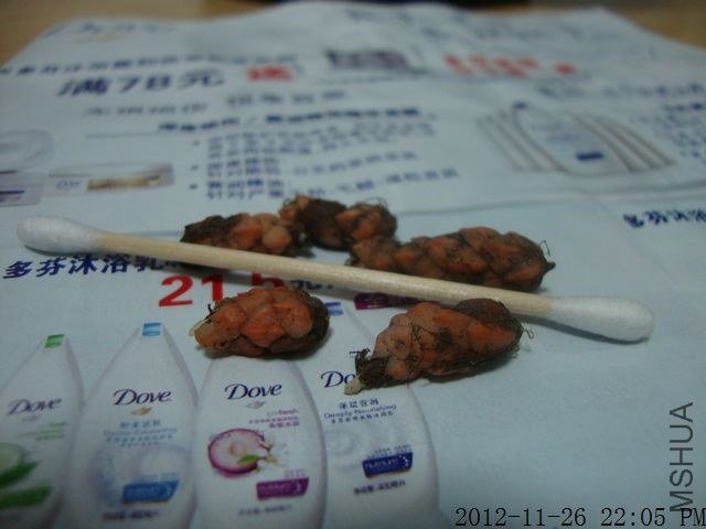 DSC01734.jpg